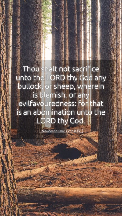 Picture 05 - Deuteronomy 17:1 KJV Mobile Phone Wallpaper - Thou shalt not sacrifice unto the LORD thy God - Mobile Bible Verse Wallpaper