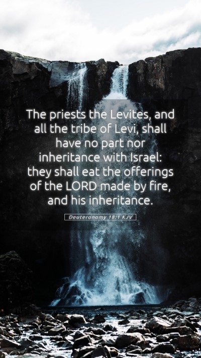 Picture 05 - Deuteronomy 18:1 KJV Mobile Phone Wallpaper - The priests the Levites, and all the tribe of - Mobile Bible Verse Wallpaper