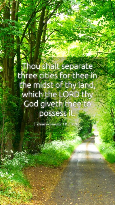 Picture 05 - Deuteronomy 19:2 KJV Mobile Phone Wallpaper - Thou shalt separate three cities for thee in the - Mobile Bible Verse Wallpaper