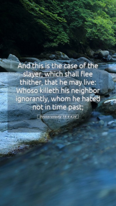 Picture 05 - Deuteronomy 19:4 KJV Mobile Phone Wallpaper - And this is the case of the slayer, which shall - Mobile Bible Verse Wallpaper