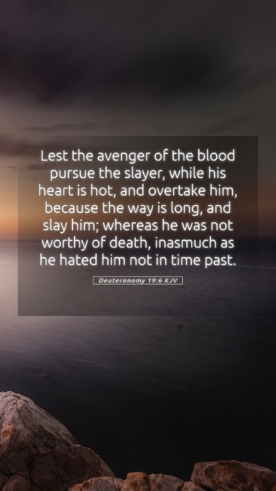 Picture 05 - Deuteronomy 19:6 KJV Mobile Phone Wallpaper - Lest the avenger of the blood pursue the slayer, - Mobile Bible Verse Wallpaper