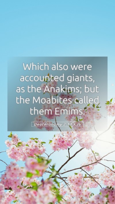 Picture 05 - Deuteronomy 2:11 KJV Mobile Phone Wallpaper - Which also were accounted giants, as the Anakims; - Mobile Bible Verse Wallpaper