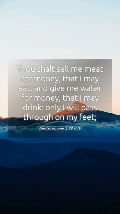 Picture 05 - Deuteronomy 2:28 KJV Mobile Phone Wallpaper - Thou shalt sell me meat for money, that I may - Mobile Bible Verse Wallpaper