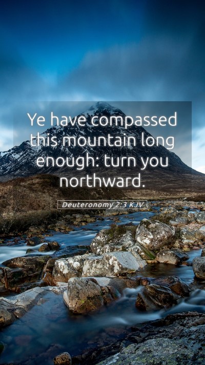 Picture 05 - Deuteronomy 2:3 KJV Mobile Phone Wallpaper - Ye have compassed this mountain long enough: turn - Mobile Bible Verse Wallpaper