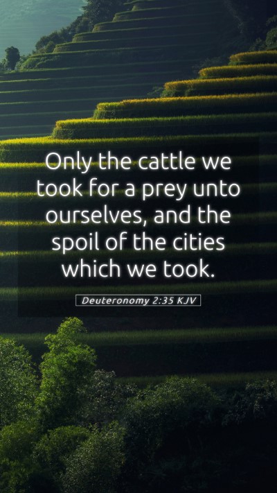 Picture 05 - Deuteronomy 2:35 KJV Mobile Phone Wallpaper - Only the cattle we took for a prey unto - Mobile Bible Verse Wallpaper