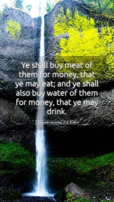 Picture 05 - Deuteronomy 2:6 KJV Mobile Phone Wallpaper - Ye shall buy meat of them for money, that ye may - Mobile Bible Verse Wallpaper