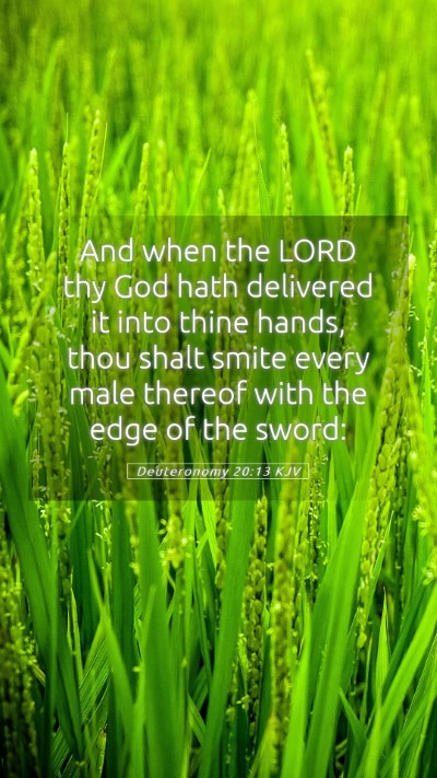 Picture 05 - Deuteronomy 20:13 KJV Mobile Phone Wallpaper - And when the LORD thy God hath delivered it into - Mobile Bible Verse Wallpaper