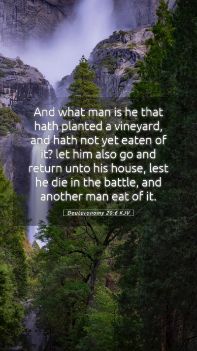 Picture 05 - Deuteronomy 20:6 KJV Mobile Phone Wallpaper - And what man is he that hath planted a vineyard, - Mobile Bible Verse Wallpaper