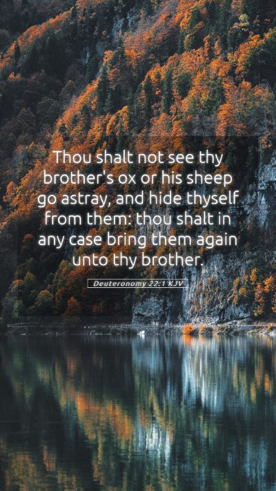 Picture 05 - Deuteronomy 22:1 KJV Mobile Phone Wallpaper - Thou shalt not see thy brother's ox or his sheep - Mobile Bible Verse Wallpaper