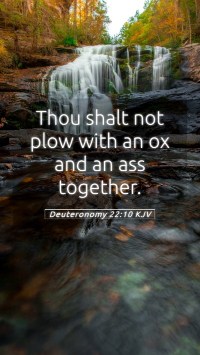 Picture 05 - Deuteronomy 22:10 KJV Mobile Phone Wallpaper - Thou shalt not plow with an ox and an ass - Mobile Bible Verse Wallpaper