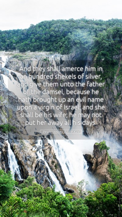 Picture 05 - Deuteronomy 22:19 KJV Mobile Phone Wallpaper - And they shall amerce him in an hundred shekels - Mobile Bible Verse Wallpaper