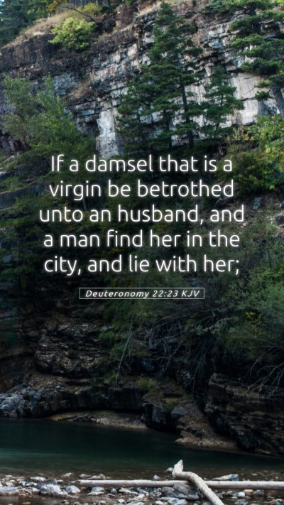 Picture 05 - Deuteronomy 22:23 KJV Mobile Phone Wallpaper - If a damsel that is a virgin be betrothed unto an - Mobile Bible Verse Wallpaper