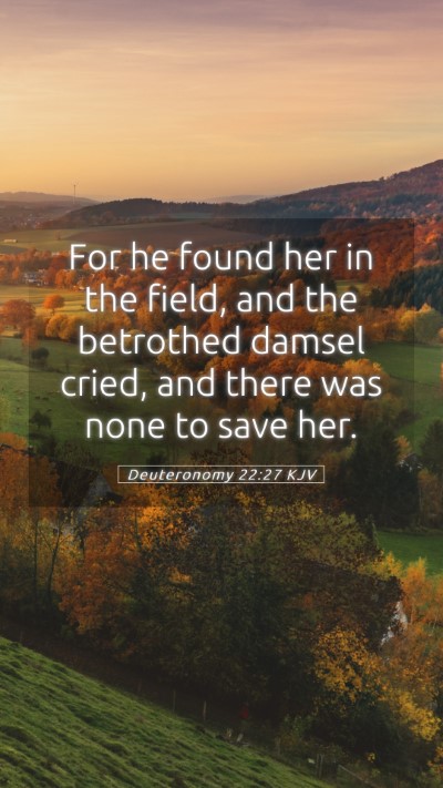 Picture 05 - Deuteronomy 22:27 KJV Mobile Phone Wallpaper - For he found her in the field, and the betrothed - Mobile Bible Verse Wallpaper
