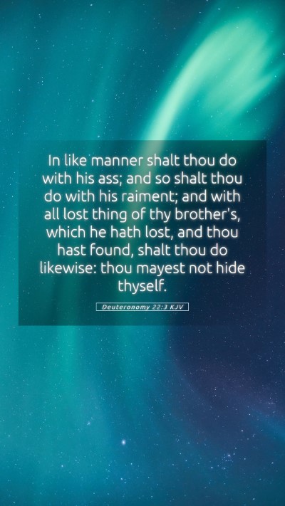 Picture 05 - Deuteronomy 22:3 KJV Mobile Phone Wallpaper - In like manner shalt thou do with his ass; and so - Mobile Bible Verse Wallpaper