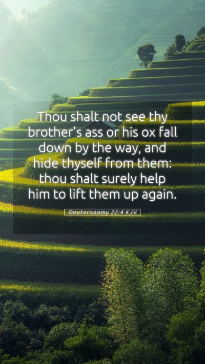 Picture 05 - Deuteronomy 22:4 KJV Mobile Phone Wallpaper - Thou shalt not see thy brother's ass or his ox - Mobile Bible Verse Wallpaper