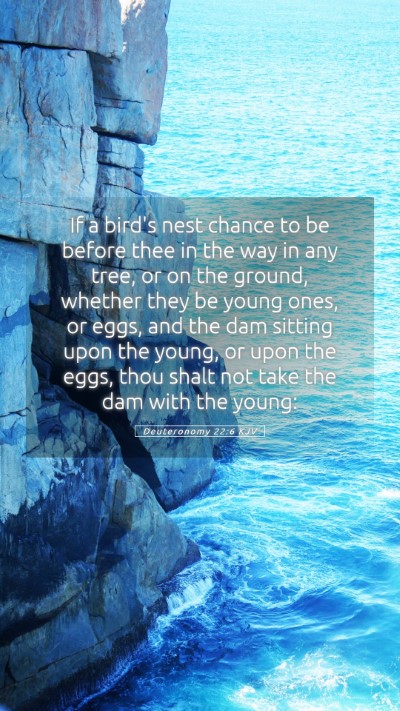 Picture 05 - Deuteronomy 22:6 KJV Mobile Phone Wallpaper - If a bird's nest chance to be before thee in the - Mobile Bible Verse Wallpaper