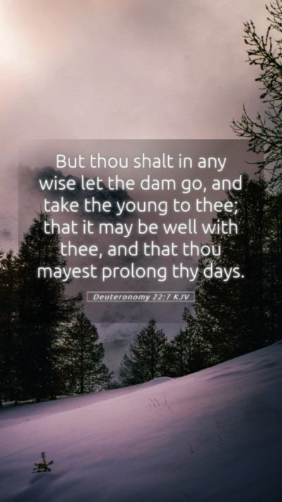 Picture 05 - Deuteronomy 22:7 KJV Mobile Phone Wallpaper - But thou shalt in any wise let the dam go, and - Mobile Bible Verse Wallpaper