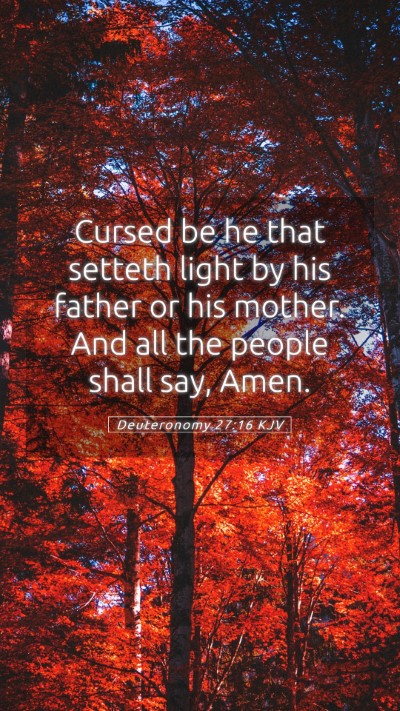 Picture 05 - Deuteronomy 27:16 KJV Mobile Phone Wallpaper - Cursed be he that setteth light by his father or - Mobile Bible Verse Wallpaper