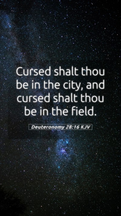 Picture 05 - Deuteronomy 28:16 KJV Mobile Phone Wallpaper - Cursed shalt thou be in the city, and cursed - Mobile Bible Verse Wallpaper