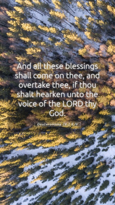 Picture 05 - Deuteronomy 28:2 KJV Mobile Phone Wallpaper - And all these blessings shall come on thee, and - Mobile Bible Verse Wallpaper