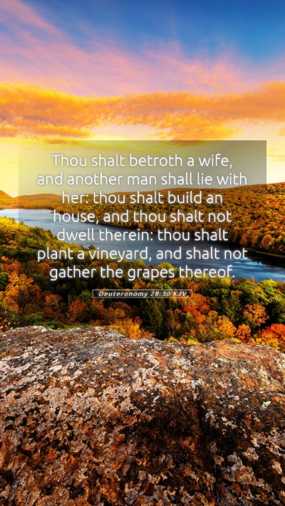 Picture 05 - Deuteronomy 28:30 KJV Mobile Phone Wallpaper - Thou shalt betroth a wife, and another man shall - Mobile Bible Verse Wallpaper