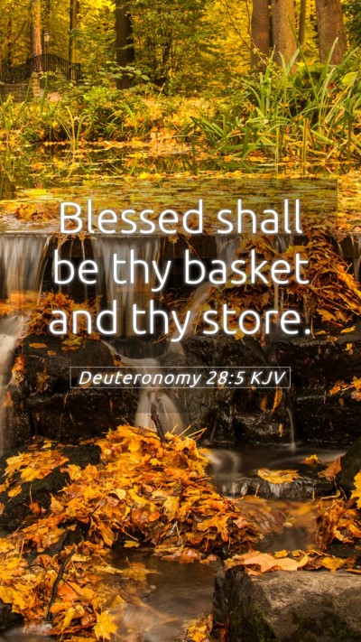 Picture 05 - Deuteronomy 28:5 KJV Mobile Phone Wallpaper - Blessed shall be thy basket and thy - Mobile Bible Verse Wallpaper