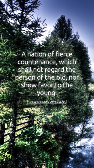 Picture 05 - Deuteronomy 28:50 KJV Mobile Phone Wallpaper - A nation of fierce countenance, which shall not - Mobile Bible Verse Wallpaper