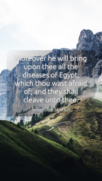 Picture 05 - Deuteronomy 28:60 KJV Mobile Phone Wallpaper - Moreover he will bring upon thee all the diseases - Mobile Bible Verse Wallpaper