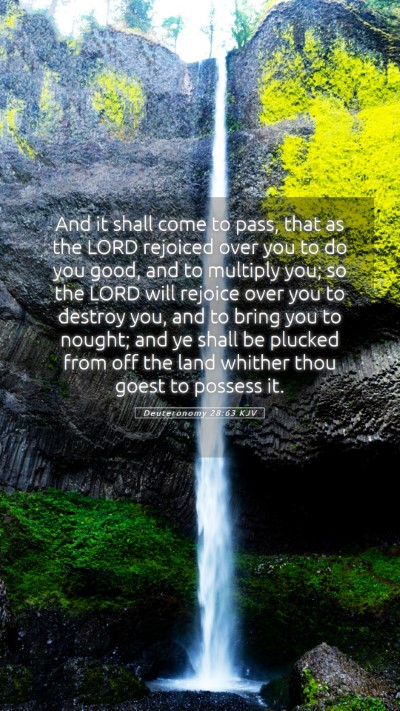 Picture 05 - Deuteronomy 28:63 KJV Mobile Phone Wallpaper - And it shall come to pass, that as the LORD - Mobile Bible Verse Wallpaper