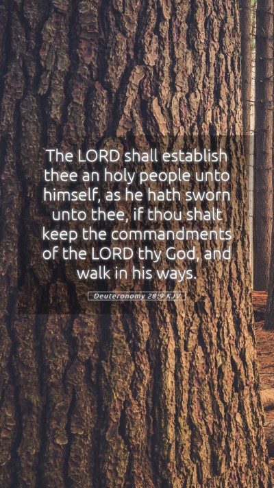 Picture 05 - Deuteronomy 28:9 KJV Mobile Phone Wallpaper - The LORD shall establish thee an holy people unto - Mobile Bible Verse Wallpaper