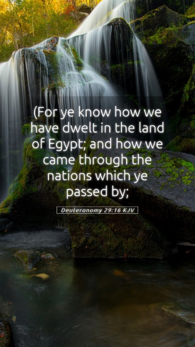 Picture 05 - Deuteronomy 29:16 KJV Mobile Phone Wallpaper - (For ye know how we have dwelt in the land of - Mobile Bible Verse Wallpaper