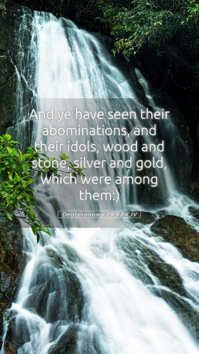 Picture 05 - Deuteronomy 29:17 KJV Mobile Phone Wallpaper - And ye have seen their abominations, and their - Mobile Bible Verse Wallpaper