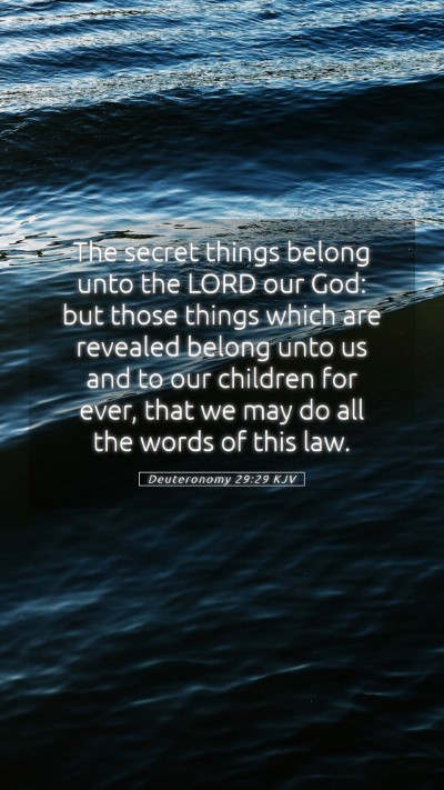 Picture 05 - Deuteronomy 29:29 KJV Mobile Phone Wallpaper - The secret things belong unto the LORD our God: - Mobile Bible Verse Wallpaper