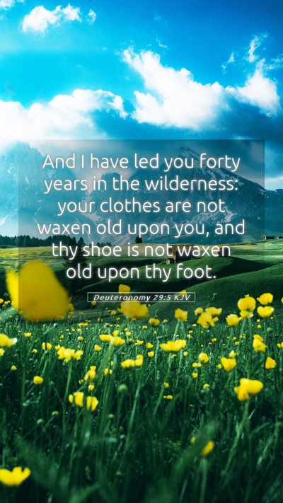 Picture 05 - Deuteronomy 29:5 KJV Mobile Phone Wallpaper - And I have led you forty years in the wilderness: - Mobile Bible Verse Wallpaper