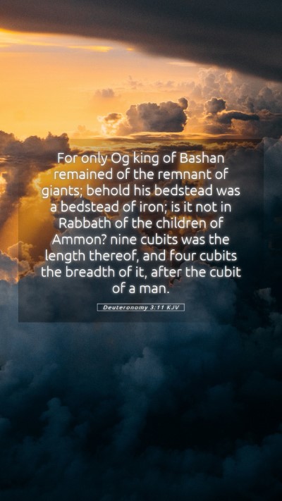 Picture 05 - Deuteronomy 3:11 KJV Mobile Phone Wallpaper - For only Og king of Bashan remained of the - Mobile Bible Verse Wallpaper