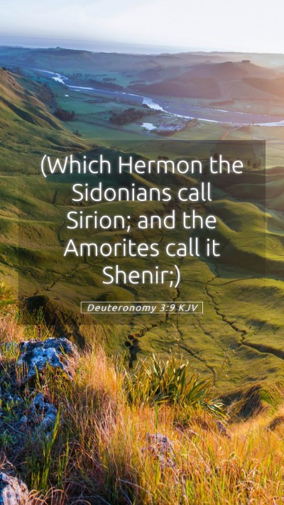 Picture 05 - Deuteronomy 3:9 KJV Mobile Phone Wallpaper - (Which Hermon the Sidonians call Sirion; and the - Mobile Bible Verse Wallpaper