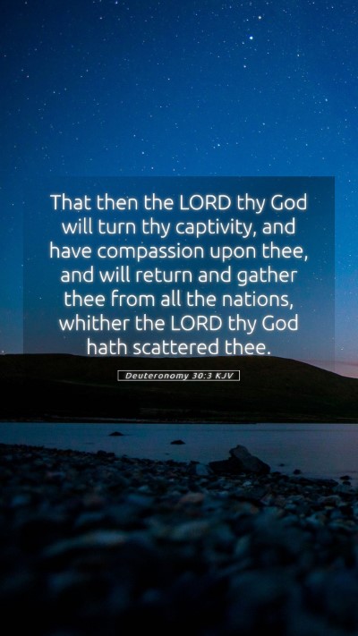 Picture 05 - Deuteronomy 30:3 KJV Mobile Phone Wallpaper - That then the LORD thy God will turn thy - Mobile Bible Verse Wallpaper