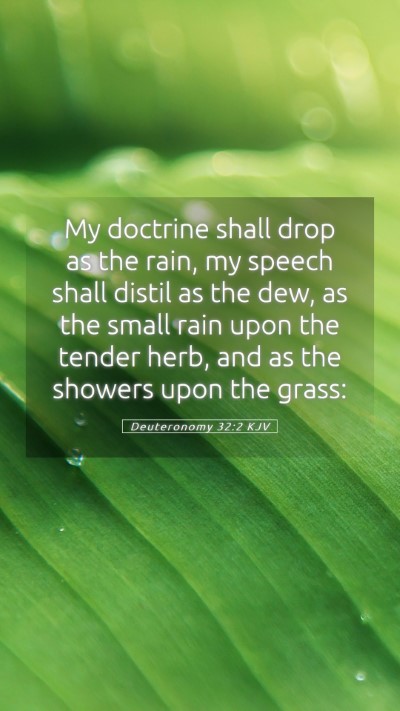 Picture 05 - Deuteronomy 32:2 KJV Mobile Phone Wallpaper - My doctrine shall drop as the rain, my speech - Mobile Bible Verse Wallpaper