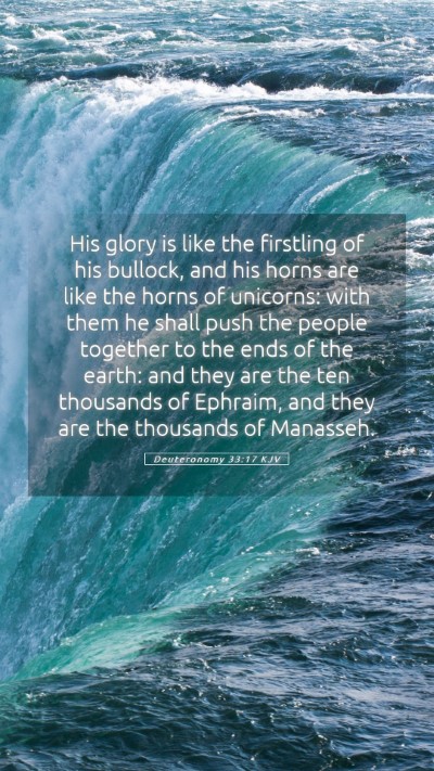 Picture 05 - Deuteronomy 33:17 KJV Mobile Phone Wallpaper - His glory is like the firstling of his bullock, - Mobile Bible Verse Wallpaper