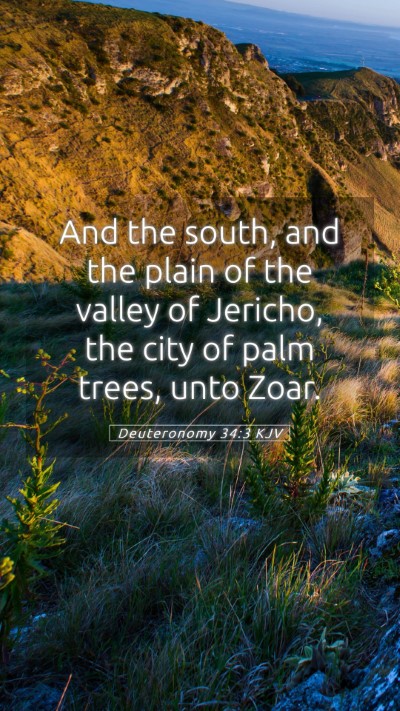 Picture 05 - Deuteronomy 34:3 KJV Mobile Phone Wallpaper - And the south, and the plain of the valley of - Mobile Bible Verse Wallpaper
