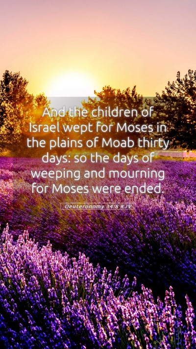 Picture 05 - Deuteronomy 34:8 KJV Mobile Phone Wallpaper - And the children of Israel wept for Moses in the - Mobile Bible Verse Wallpaper