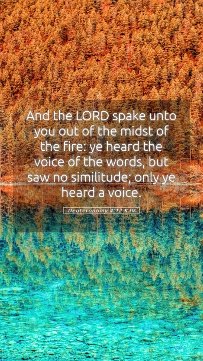 Picture 05 - Deuteronomy 4:12 KJV Mobile Phone Wallpaper - And the LORD spake unto you out of the midst of - Mobile Bible Verse Wallpaper