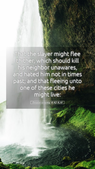 Picture 05 - Deuteronomy 4:42 KJV Mobile Phone Wallpaper - That the slayer might flee thither, which should - Mobile Bible Verse Wallpaper