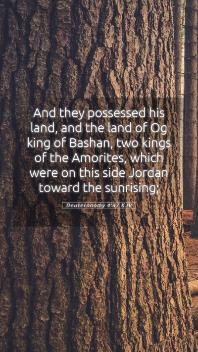Picture 05 - Deuteronomy 4:47 KJV Mobile Phone Wallpaper - And they possessed his land, and the land of Og - Mobile Bible Verse Wallpaper