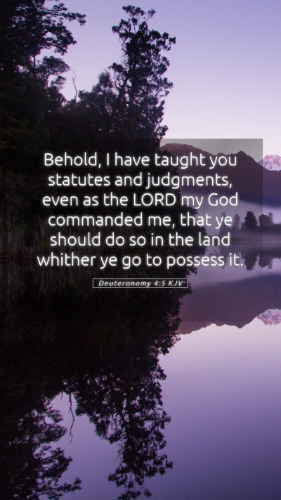 Picture 05 - Deuteronomy 4:5 KJV Mobile Phone Wallpaper - Behold, I have taught you statutes and judgments, - Mobile Bible Verse Wallpaper
