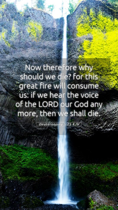 Picture 05 - Deuteronomy 5:25 KJV Mobile Phone Wallpaper - Now therefore why should we die? for this great - Mobile Bible Verse Wallpaper