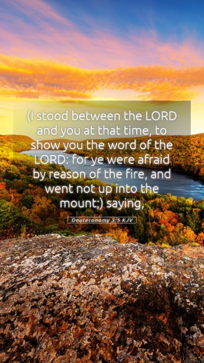 Picture 05 - Deuteronomy 5:5 KJV Mobile Phone Wallpaper - (I stood between the LORD and you at that time, - Mobile Bible Verse Wallpaper