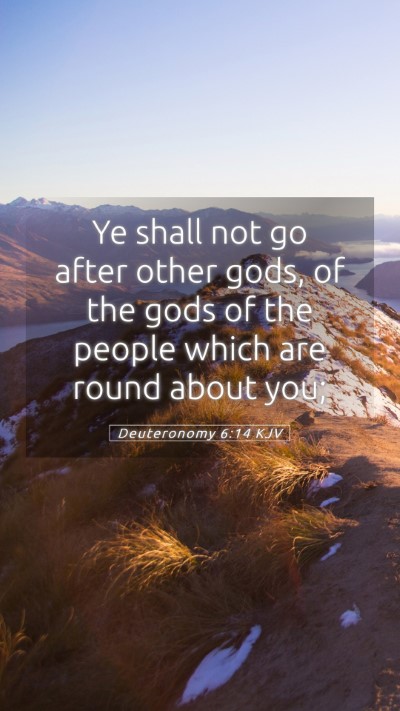 Picture 05 - Deuteronomy 6:14 KJV Mobile Phone Wallpaper - Ye shall not go after other gods, of the gods of - Mobile Bible Verse Wallpaper