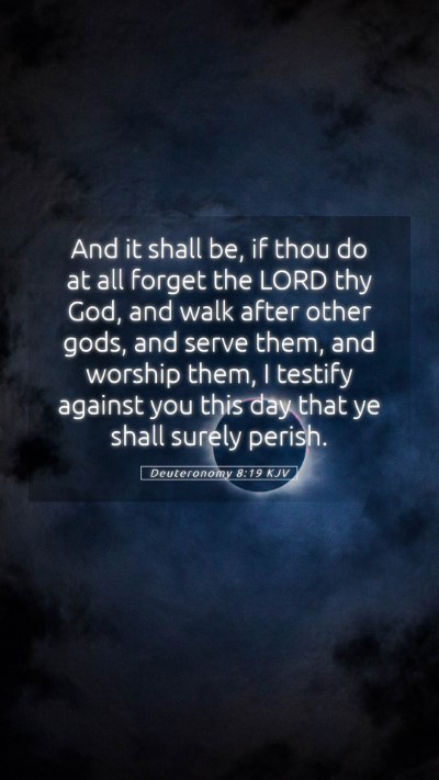 Picture 05 - Deuteronomy 8:19 KJV Mobile Phone Wallpaper - And it shall be, if thou do at all forget the - Mobile Bible Verse Wallpaper
