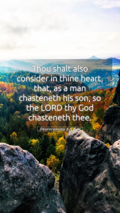 Picture 05 - Deuteronomy 8:5 KJV Mobile Phone Wallpaper - Thou shalt also consider in thine heart, that, as - Mobile Bible Verse Wallpaper